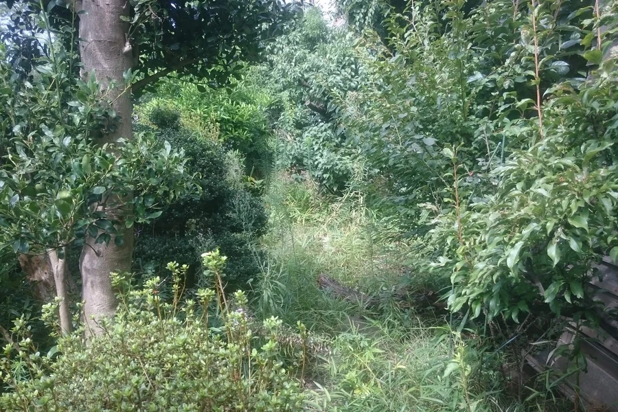 港北区にて植木の伐採を行いました。
