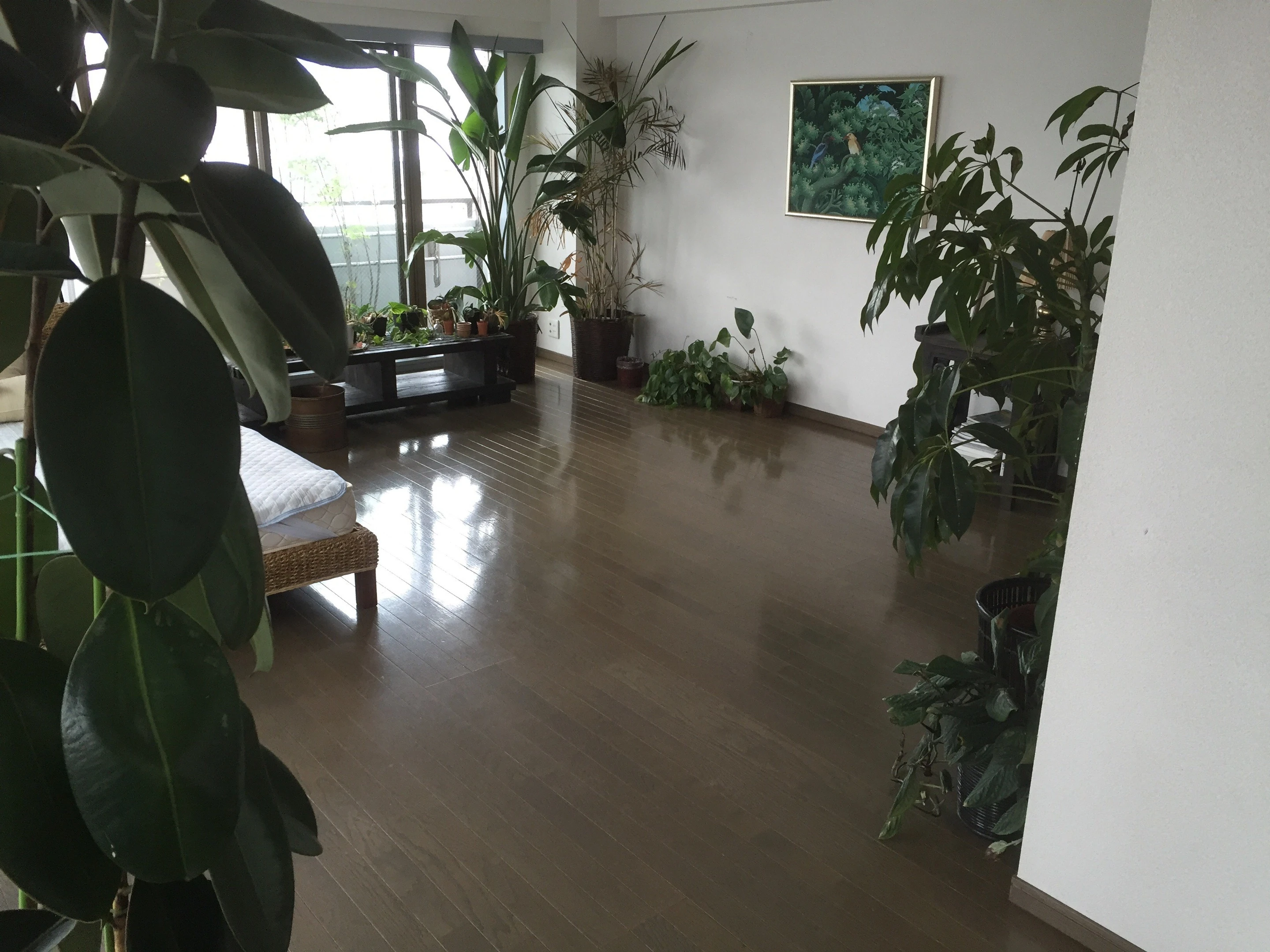 戸塚区でのお部屋の整理を行いました。 の画像