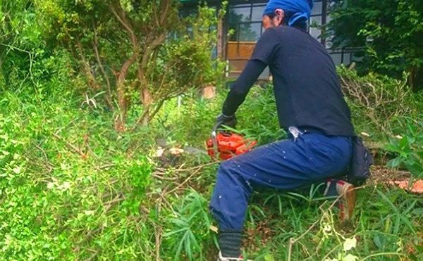 高津区にてお庭周辺の清掃を実施しました。 の画像