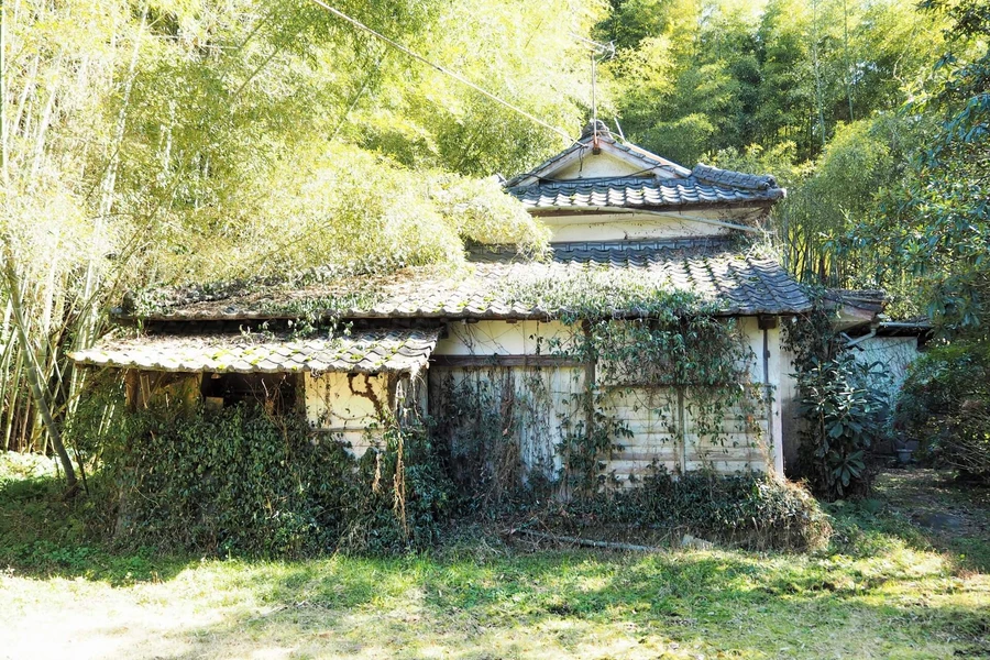 空き家の現状と片付けを業者に依頼すべき理由