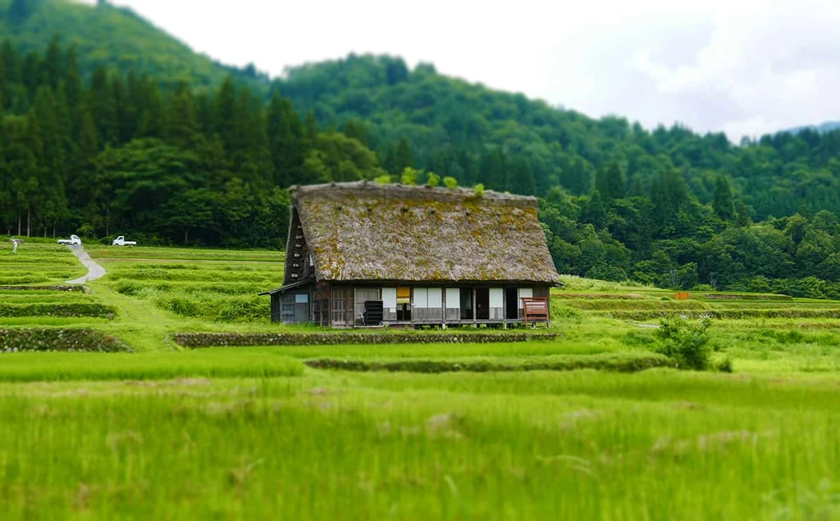 相続登記の義務化：不動産を相続する前知りたいポイントとは？ の画像