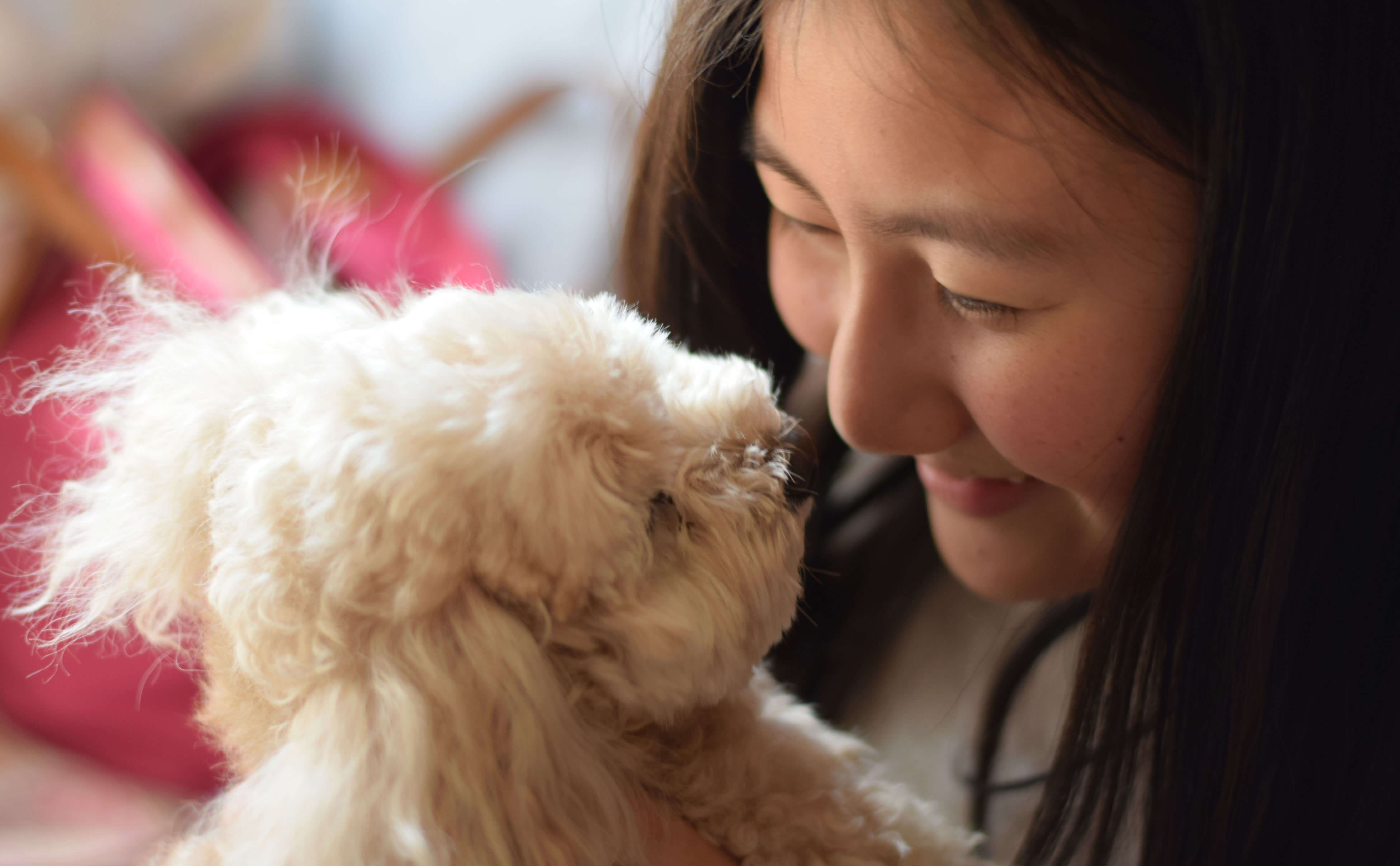 犬と向き合う女性の画像