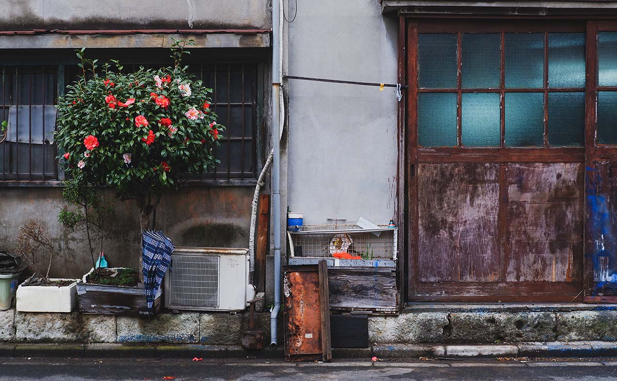 住宅地の家屋の壁