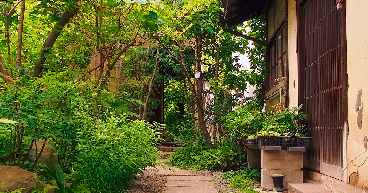 日本家屋の庭先の画像