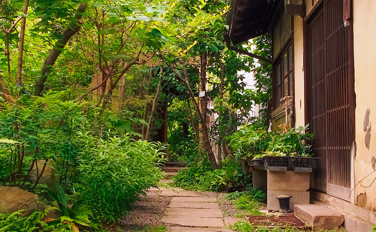 日本家屋の庭先の画像