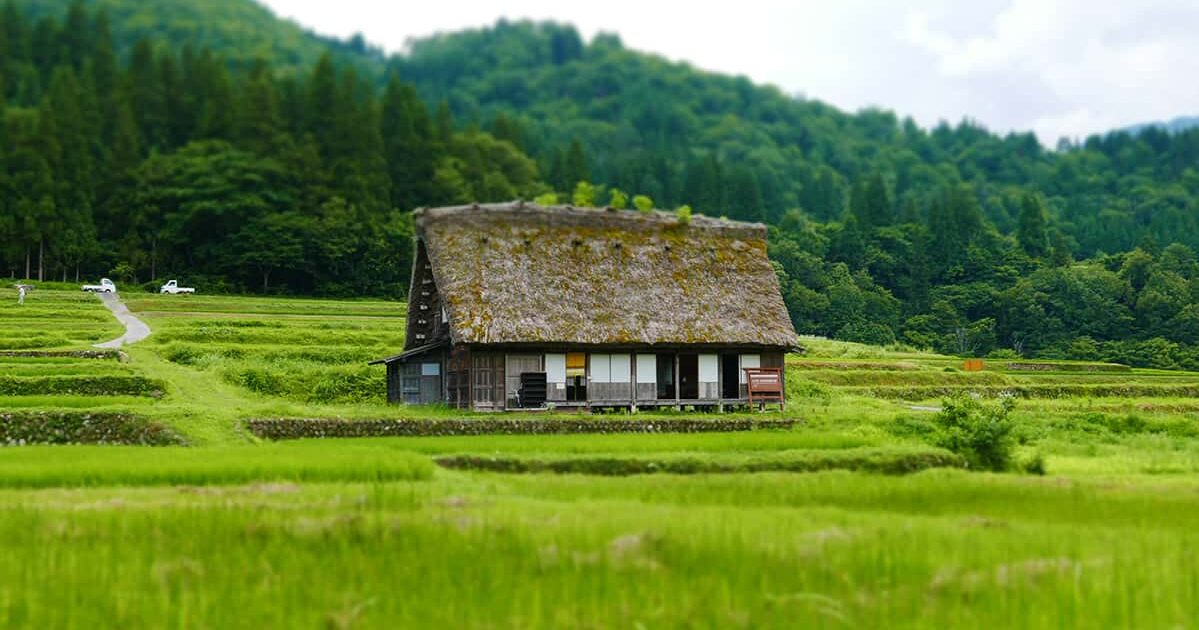 田圃に佇む茅葺き屋根の一軒家